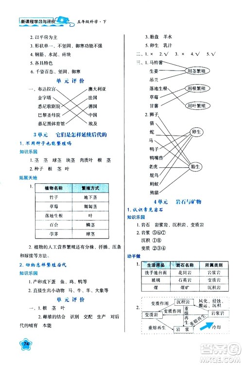 陕西人民教育出版社2021新课程学习与评价五年级科学下B苏教版答案 陕西人民教育出版社2021新课程学习与评价五年级科学下B苏教版答案