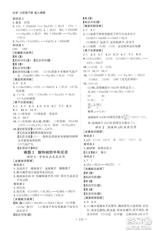 山东人民出版社2021初中同步练习册九年级化学下册人教版答案