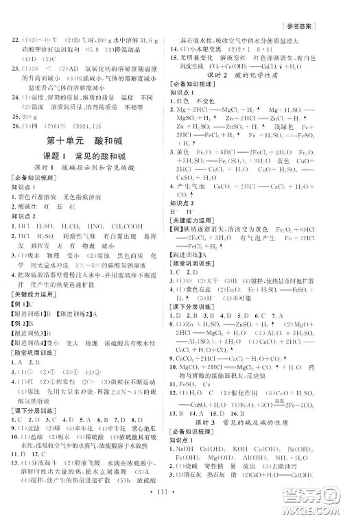 山东人民出版社2021初中同步练习册九年级化学下册人教版答案