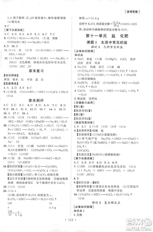 山东人民出版社2021初中同步练习册九年级化学下册人教版答案