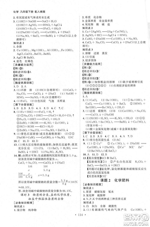 山东人民出版社2021初中同步练习册九年级化学下册人教版答案