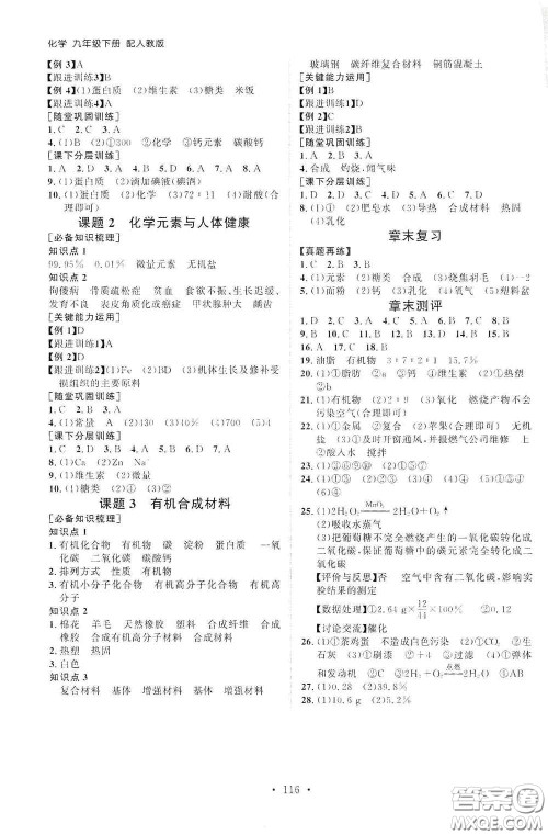 山东人民出版社2021初中同步练习册九年级化学下册人教版答案