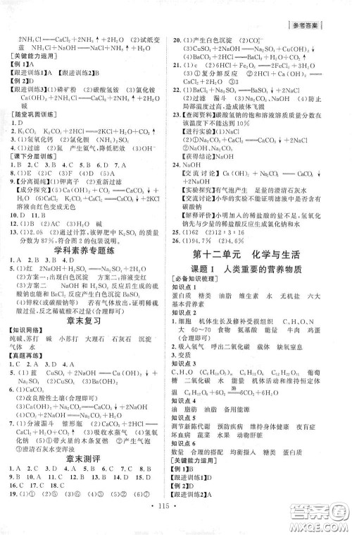 山东人民出版社2021初中同步练习册九年级化学下册人教版答案