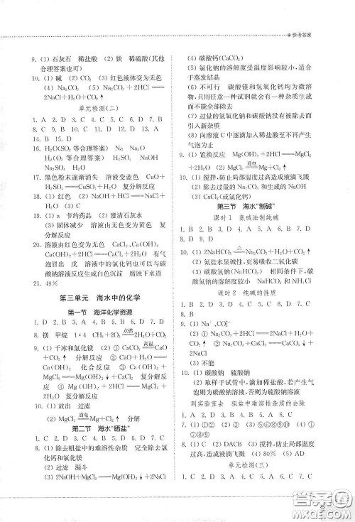 山东教育出版社2021初中同步练习册九年级化学九年级全一册鲁教版五四学制答案