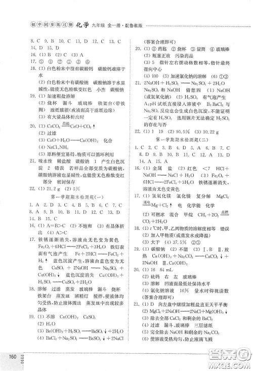 山东教育出版社2021初中同步练习册九年级化学九年级全一册鲁教版五四学制答案