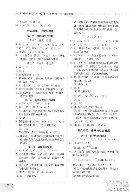 山东教育出版社2021初中同步练习册九年级化学九年级全一册鲁教版五四学制答案