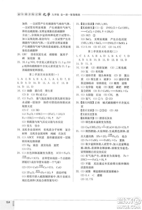 山东教育出版社2021初中同步练习册九年级化学九年级全一册鲁教版五四学制答案