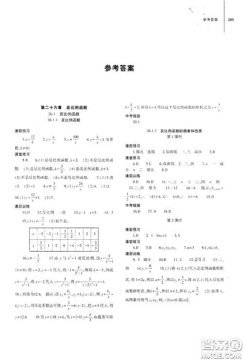 大象出版社2021初中同步练习册九年级数学下册人教版山东专版答案