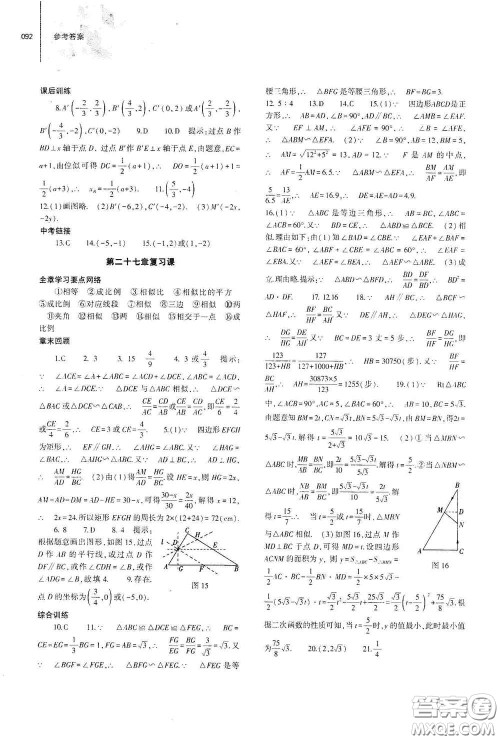 大象出版社2021初中同步练习册九年级数学下册人教版山东专版答案