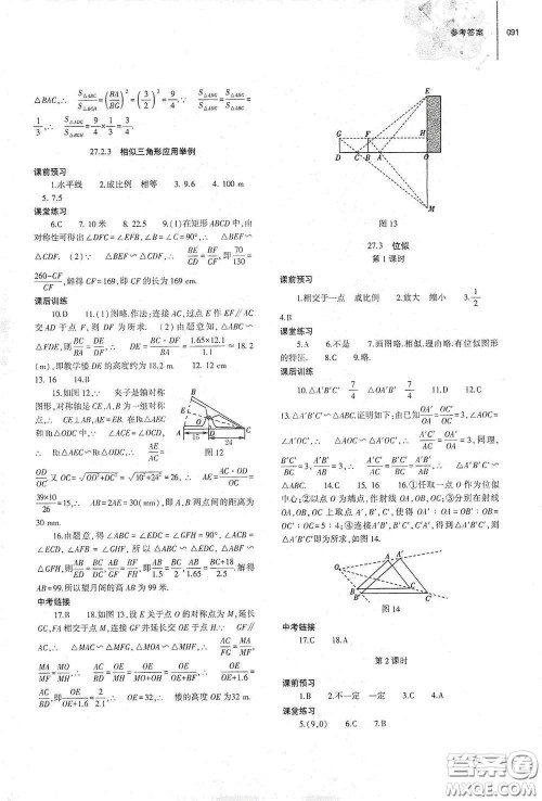 大象出版社2021初中同步练习册九年级数学下册人教版山东专版答案