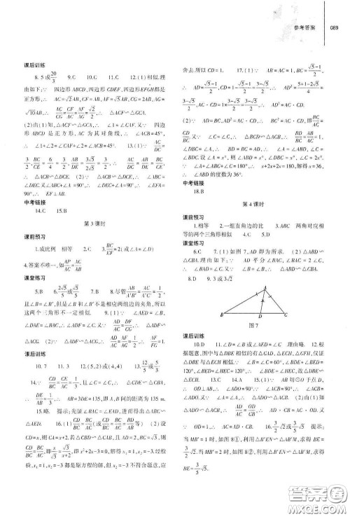 大象出版社2021初中同步练习册九年级数学下册人教版山东专版答案