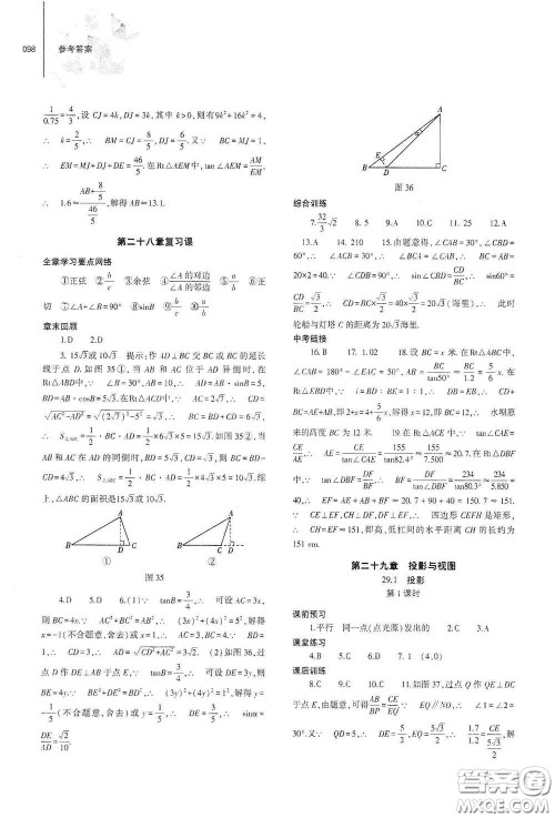 大象出版社2021初中同步练习册九年级数学下册人教版山东专版答案