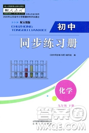 山东人民出版社2021初中同步练习册九年级化学下册人教版答案