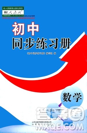 山东教育出版社2021初中同步练习册九年级数学下册人教版答案