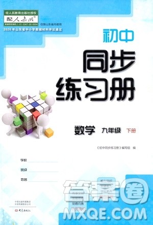 大象出版社2021初中同步练习册九年级数学下册人教版山东专版答案