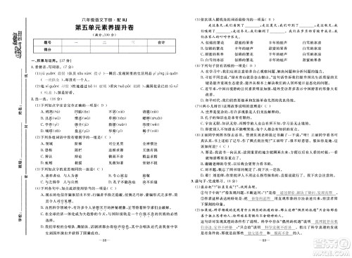 新疆青少年出版社2021小学一课一练课时达标语文六年级下册RJ人教版答案