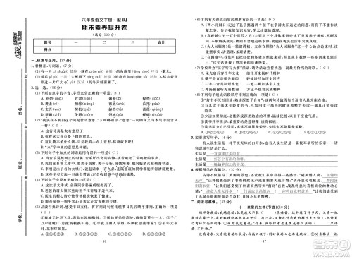 新疆青少年出版社2021小学一课一练课时达标语文六年级下册RJ人教版答案