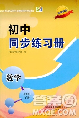 山东科学技术出版社2021初中同步练习册七年级数学下册鲁教版五四学制答案 山东科学技术出版社2021初中同步练习册七年级数学下册鲁教版五四学制答案