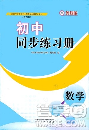 山东教育出版社2021初中同步练习册七年级数学下册鲁教版五四学制答案