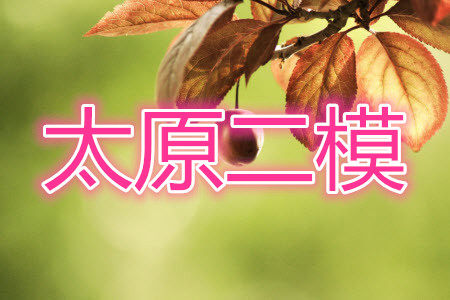 太原市2021年高三年级模拟考试二理科数学试卷及答案