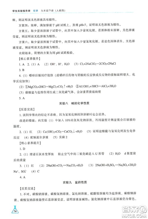 辽海出版社2021学生实验报告册九年级化学下册人教版答案