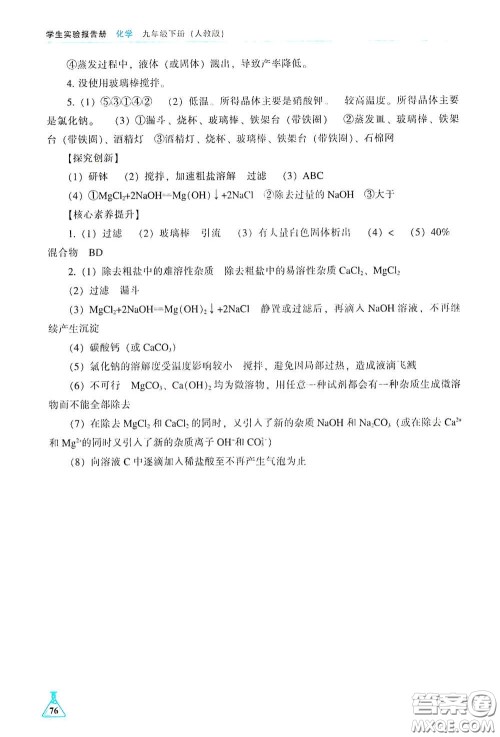 辽海出版社2021学生实验报告册九年级化学下册人教版答案 辽海出版社2021学生实验报告册九年级化学下册人教版答案