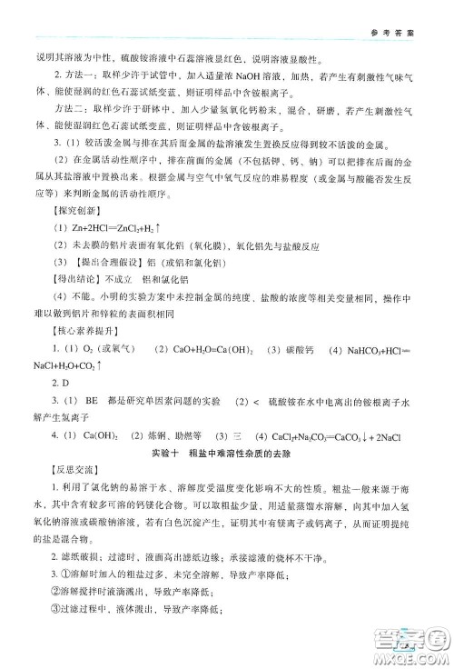 辽海出版社2021学生实验报告册九年级化学下册人教版答案