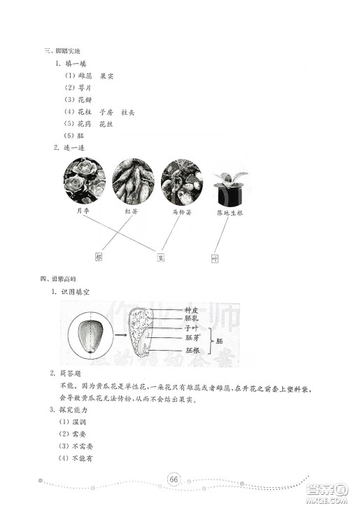 山东教育出版社2021小学科学试卷金钥匙三年级下册人教版答案