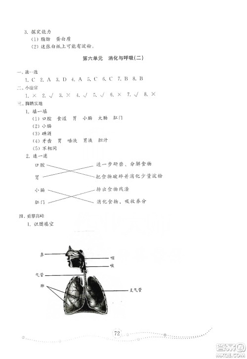 山东教育出版社2021小学科学试卷金钥匙三年级下册人教版答案