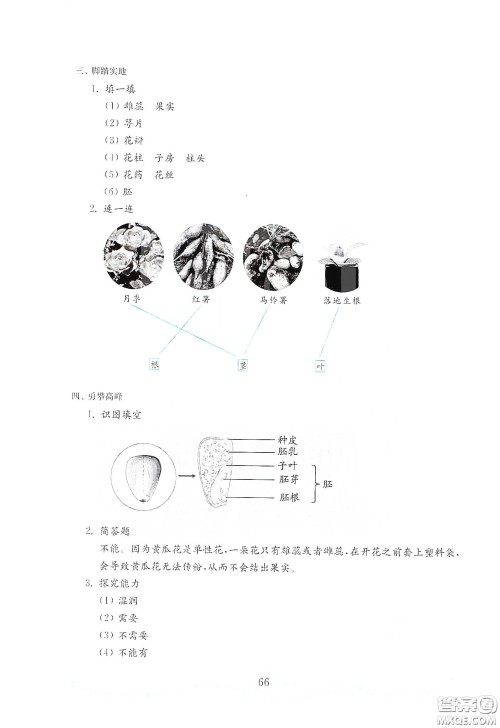 山东教育出版社2021金版小学科学试卷金钥匙三年级下册答案