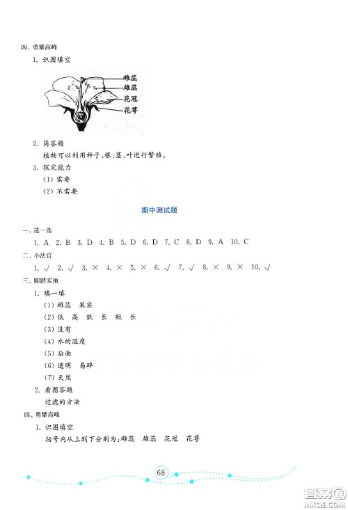 山东教育出版社2021金版小学科学试卷金钥匙三年级下册答案