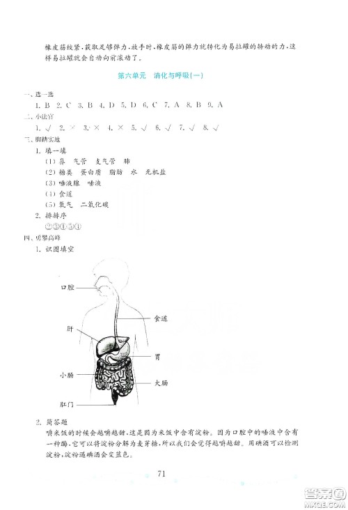 山东教育出版社2021金版小学科学试卷金钥匙三年级下册答案