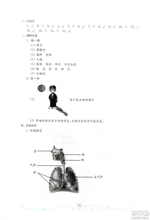 山东教育出版社2021金版小学科学试卷金钥匙三年级下册答案