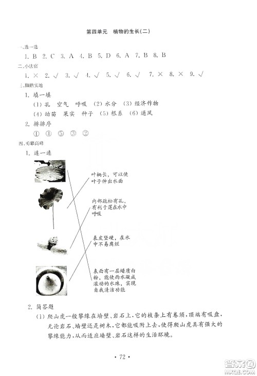 山东教育出版社2021小学科学试卷金钥匙四年级下册答案