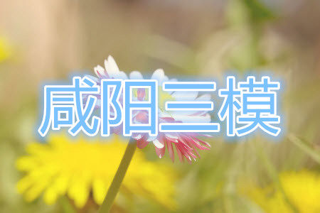咸阳市2021年高考模拟检测三语文试题及答案 咸阳市2021年高考模拟检测三语文试题及答案