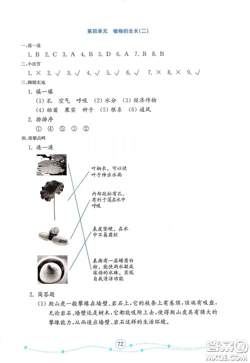 山东教育出版社2021金版小学科学试卷金钥匙四年级下册答案 山东教育出版社2021金版小学科学试卷金钥匙四年级下册答案
