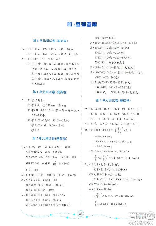 山东教育出版社2021金版小学数学试卷金钥匙六年级下册人教版山东专用答案