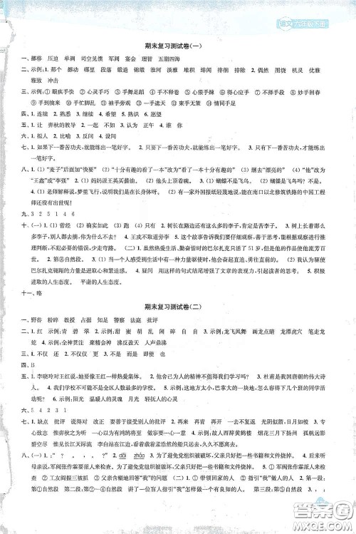 苏州大学出版社2021金钥匙1+1课时作业六年级语文下册国标全国版答案