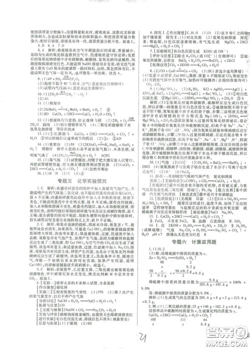 河北少年儿童出版社2021世超金典中考金钥匙中考总复习用书化学河北专用版答案