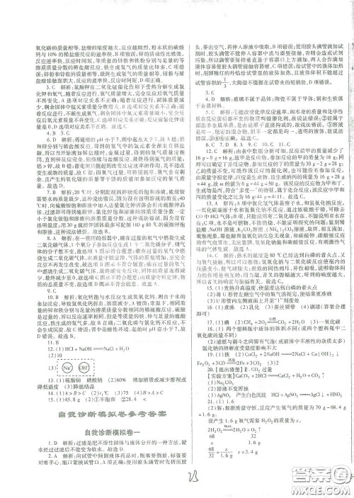 河北少年儿童出版社2021世超金典中考金钥匙中考总复习用书化学河北专用版答案