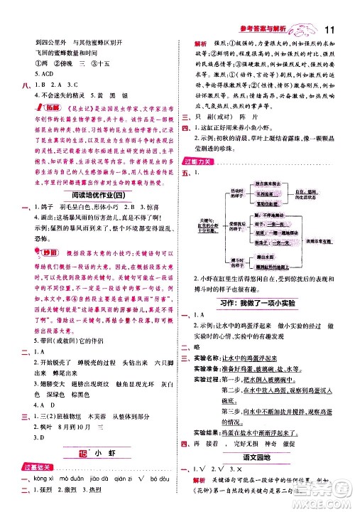 南京师范大学出版社2021春季一遍过小学语文三年级下册RJ人教版答案