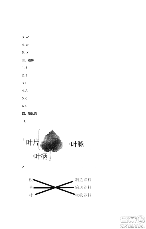 2021云南省标准教辅同步指导训练与检测三年级科学下册苏教版答案