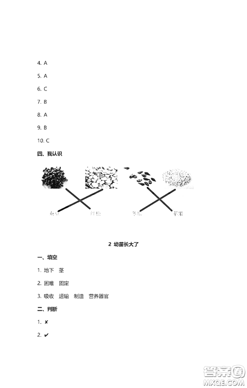 2021云南省标准教辅同步指导训练与检测三年级科学下册苏教版答案