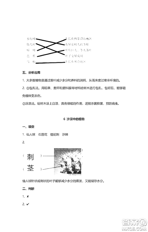 2021云南省标准教辅同步指导训练与检测三年级科学下册苏教版答案