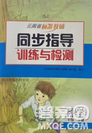 2021云南省标准教辅同步指导训练与检测三年级科学下册苏教版答案