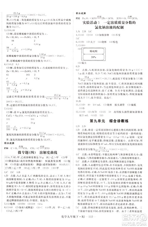 延边大学出版社2021新领程初中化学九年级下册RJ人教版答案