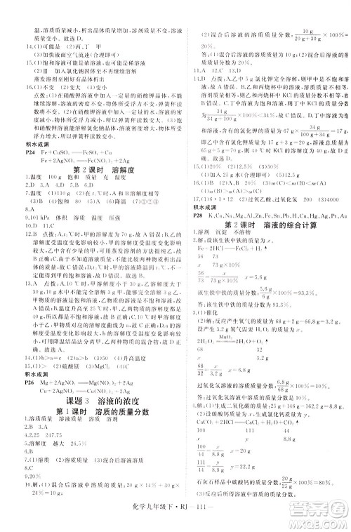 延边大学出版社2021新领程初中化学九年级下册RJ人教版答案