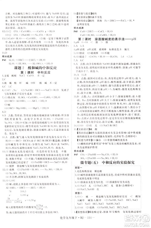 延边大学出版社2021新领程初中化学九年级下册RJ人教版答案