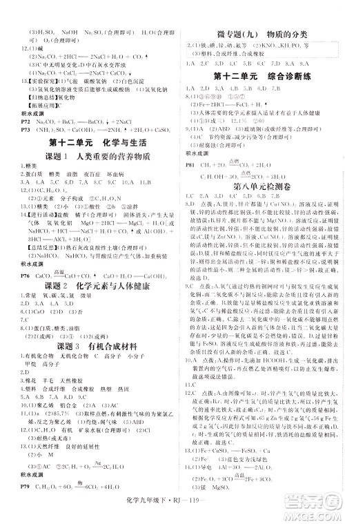 延边大学出版社2021新领程初中化学九年级下册RJ人教版答案