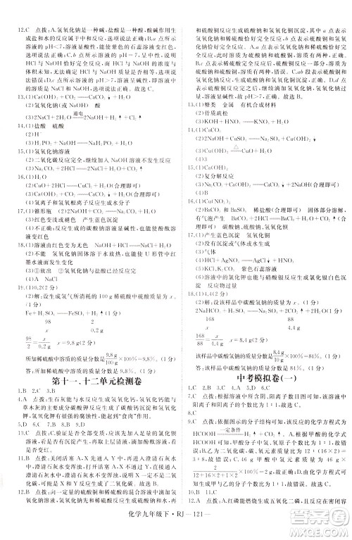 延边大学出版社2021新领程初中化学九年级下册RJ人教版答案